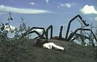 The Giant Spider Invasion