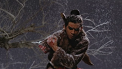 One-Armed Swordsman (Dubei dao)