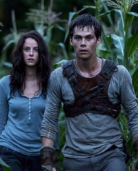 The Maze Runner