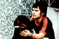 Amores Perros