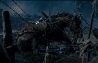 War Horse