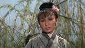 One-Armed Swordsman (Dubei dao)