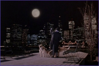 Moonstruck